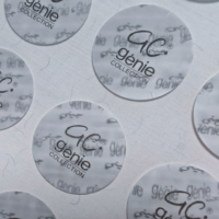Étiquette Nano Microlens Anti-Contrefaçon Personnalisée OEM de Haute Qualité, Emballage 3D, Autocollant Adhésif Transparent en PET, Emballage en Carton