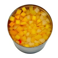 [Qualité d'exportation] Fruits tropicaux mélangés au sirop naturel-Boîte à cocktail de 6 variétés, ingrédient de dessert prêt à manger, paquet de 425g * 24