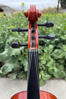 Sinomusik Pulvérisation Rouge Brun Tout Viola Solide 14-16 "Taille Instrument à Cordes de Haute Qualité Étiquette Personnalisée à Prix Pas Cher d'Usine