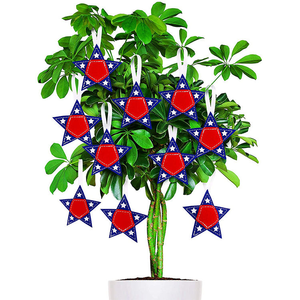 Décoration suspendue en feutre durable en forme d'étoile, nouvelle conception, best-seller mondial, pour le salon, usage quotidien - Product Image 6