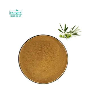 Factory New Batch Oleuropein 10% 20% 40% Olive Leaf Extract Oleuropein Hydroxytyrosol Powder