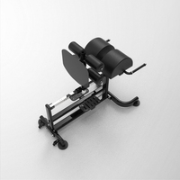 Machine GHD professionnelle pour salle de sport, Glute Ham Developer, chaise romaine réglable pour l'hyperextension, pour l'entraînement du dos et des fessiers