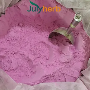 Julyherb Natural Red Dragon Fruit Juice Powder Water Soluble Red Pitaya Powder Wholesale Private Label Bulk Pink Pitaya Powder