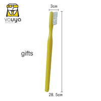 YOUYA DENTAL Peluche anatomique dentaire au design mignon de lion, modèle de dents, brosse à dents, cadeau pour la Fée des Dents et le Dentiste, pour enfants