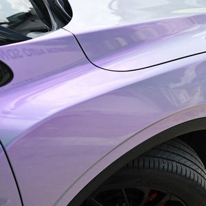 ผงสีกิ้งก่าเปลี่ยนสีได้อย่างเข้มข้นผงสีเอฟเฟกต์สีม่วง - Product Image 2