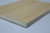 Panel de Abedul de 18 mm, Grado de Primera Clase, Ecológico, Resistente al Fuego, Resistente al Agua, Anticorrosión, para Cocina, Almacén, Uso Exterior