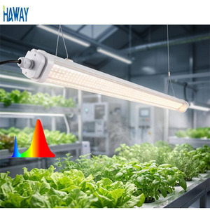 Lámpara <span class=keywords><strong>LED</strong></span> de espectro completo de cuarta fila AC220V 70W 80W 480d para cultivo de plantas en hidroponía y jardinería interior - Product Image 1