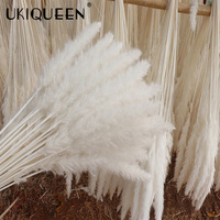30 tiges de pampas naturelles séchées et moelleuses, décoration de mariage, fleur artificielle, pampasgras blanc, pampas séché, petit pampas
