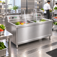 Machine à laver multifonctionnelle pour cuisine, station de nettoyage double bac pour vaisselle et légumes, personnalisation de la marque