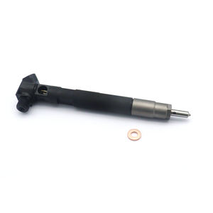 <span class=keywords><strong>Injecteur</strong></span> de carburant <span class=keywords><strong>diesel</strong></span> de haute qualité EJBR02101Z 166003978R pour Renault <span class=keywords><strong>Clio</strong></span> Kangoo - Product Image 2