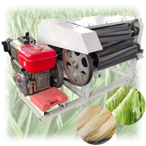 Half-Automatische Hennep Decorticator Machine Hennepvezel Extractiemachine Ambary Hennep Machine