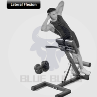 Chaise romaine multifonctionnelle pliable et banc d'hyperextension pour entraînement de l'étirement du dos à domicile - Hommes et femmes