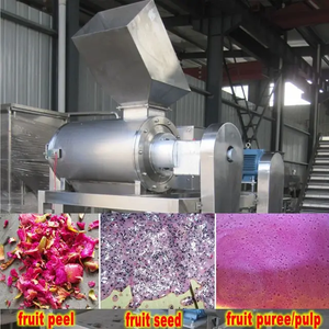 Công nghiệp nho bưởi hạt giống separator - Product Image 2