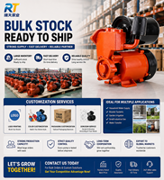 Pompa Booster Air Listrik Self-Priming Baja untuk Penggunaan Rumah Tangga 220V/50Hz Motor Aluminium Ukuran Dapat Disesuaikan