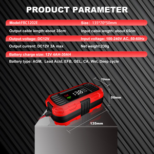 Cargador de Batería Inteligente para Automóvil de 12V, Carga Lenta Totalmente Automática para Baterías de Plomo-Ácido - Product Image 4