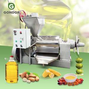 Pequeña máquina prensadora de aceite de semillas de girasol, mostaza y cacahuete de Sudáfrica, precio en Pakistán - Product Image 1
