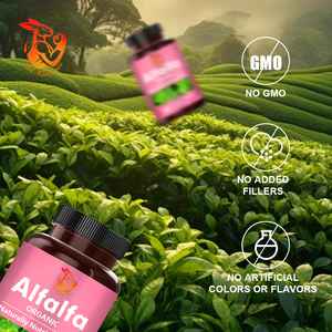 Suplemento de Minerales de Alta Calidad, Cápsulas Orgánicas de Alfalfa, Mejoran el Sistema Inmunológico, Cápsulas de Suplemento Herbal - Product Image 5