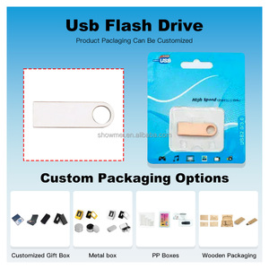 Clé USB 2.0 en métal, clé mémoire USB 2G 4G 8G 16G 32G 64GB, clé USB personnalisée avec logo, mini clé USB - Product Image 2