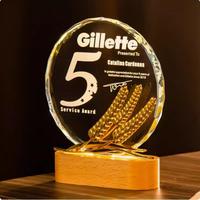 Plaque en cristal avec base en bois gravée au laser personnalisée HBL, récompense en cristal pour la cérémonie d'hommage des employés de l'entreprise
