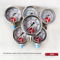 SHY Hydraulic Analog Pressure Gauge 0-400 Bar Stainless Steel Material Model SHY-YLB-60 1 Year Warranty OEM Customizable Made