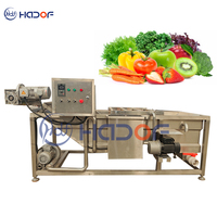 Automatische Luchtbel Palm Druif Olijf Kiwi Wassen Wasmachine Groente Wasmachine En Droger Voor Fruit