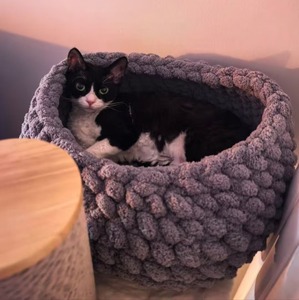 Coussin rond tricoté sur mesure en gros, couleur personnalisée, ultra doux, confortable et chaud pour chats et chiens - Product Image 3