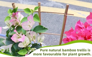 Treillis en bambou naturel pour plantes d'intérieur, plantes en <span class=keywords><strong>pot</strong></span>, plantes grimpantes, en forme d'éventail, taille personnalisée, prix de gros - Product Image 6
