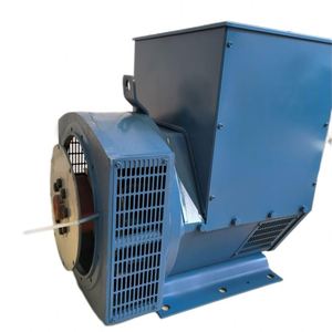 Alternateur à Cadre Ouvert Sans Balais, Gamme 100 kW à 200 kW avec AVR, Fréquence 50/60 Hz - Product Image 6
