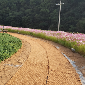 Tapis en fibre de noix de coco vietnamienne/Option économique nette pour le béton et la filature - Product Image 1