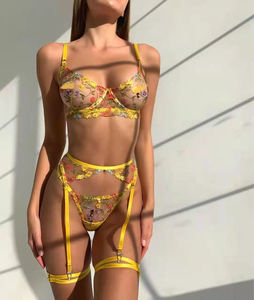Lencería sexy de encaje, ropa interior transparente bordada, ligas de 3 piezas, Kits íntimos para el cuidado de la piel, bonitos y lujosos - Product Image 3