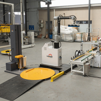 Machine à emballer de palette de robot d'opération facile rentable élevée combinaison de machine d'emballage de palette pour la boîte de cas de cartons