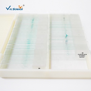 Juego de 100 Portaobjetos de Histología para Anatomía y Fisiología, Recurso Esencial de Ciencias Médicas en Caja de Madera, para <span class=keywords><strong>Cursos</strong></span> Universitarios - Product Image 4