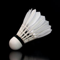 LINGMEI 20 Usine Vente en gros Volant de badminton Oie Entraînement Volant de badminton Club Jouant LingMei 20 Navette