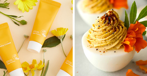 Chất Màu Sắc Tự Nhiên Marigold Flower Extract <span class=keywords><strong>Lutein</strong></span> Và Zeaxanthin Powder - Product Image 5