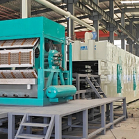 Machine à plateaux à œufs en pulpe légère, machine à plateaux à œufs en papier, machine à plateaux à œufs de caille, plateaux en pulpe mince et respirant pour l'agriculture