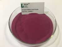 Europese Bosbes/Vlierbessen/Moerbei Fruit/Zwarte Bessen/Blueberry Extract 25% Anthocyanidins Extract