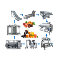 Geavanceerde machines voor de verwerking van zuivel, sap en dranken; gecombineerde productielijn