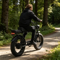 Vélo de montagne électrique à prix de gros, 500W, longue autonomie, pneus larges de 20 pouces, vélo de montagne électrique, vélo électrique pour la ville