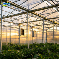 Serre en verre de 4 m de hauteur pour la culture hydroponique de cultures hautes, serre agricole