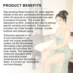 Óleo Corporal Natural para Aumento de Seios e Quadris R-EXPQ, Conjunto de Óleos Essenciais para Massagem e Aromaterapia - Product Image 3