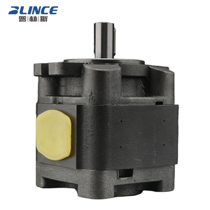 Bomba Hidráulica de Alta Presión Blince Ipv 3 4 5, Bomba de Engranajes Hidráulica Interna Servo para Máquina de Espuma - Product Image 1