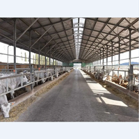 Structure en acier préfabriquée personnalisable pour l'élevage : abri/étable pour moutons, chèvres, porcs, bovins, volailles