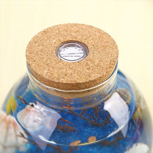 <span class=keywords><strong>Vaso</strong></span> <span class=keywords><strong>in</strong></span> Vetro Borosilicato Fatto a Mano con Muschio Bianco Colorato e Pianta Succulenta, Terrario <span class=keywords><strong>in</strong></span> Vetro con Coperchio <span class=keywords><strong>in</strong></span> Sughero - Product Image 2