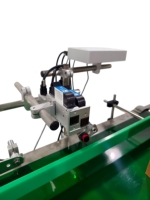 Contrôleur de poids automatique grande capacité avec système d'impression jet d'encre |   Machine de pesage et d'impression à jet d'encre