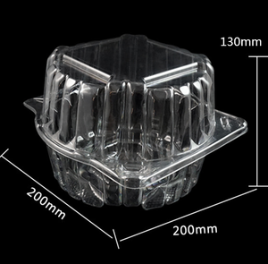 Boîte transparente à clapet en forme de carpe, conteneur pour 1 brelot d'herbes, de salade, de lettrage, romain, - Product Image 3