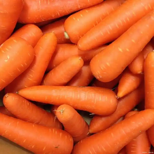Organic Fresh Carrots for Food Use Competitive Wholesale Price