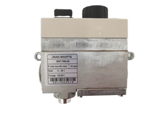 Vanne de régulation de gaz Sinopts <span class=keywords><strong>Thermostat</strong></span> 120 à <span class=keywords><strong>200</strong></span> C pour <span class=keywords><strong>four</strong></span> friteuse - Product Image 2