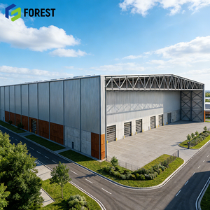 Atelier industriel professionnel à ossature métallique de grande hauteur, entrepôt à structure métallique, prix direct usine - Product Image 1