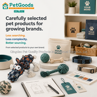 Jouet pour chien en toile rembourrée avec nœud en corde, couineur, pour le nettoyage des dents, interactif, à tirer, pour chiens agressifs, petits et moyens chiens, usage quotidien
