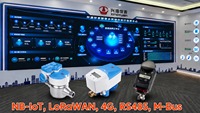 Compteur d'eau intelligent IP68 avec contrôle de vanne, ultrasonique DN15-DN25 R1000 LoRaWAN NB-IoT 4G Cat.1, lecture à distance pour les services publics de l'eau
